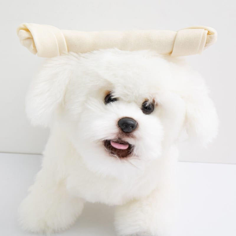 [Pet] Real Chew Large Milk Gum 70G