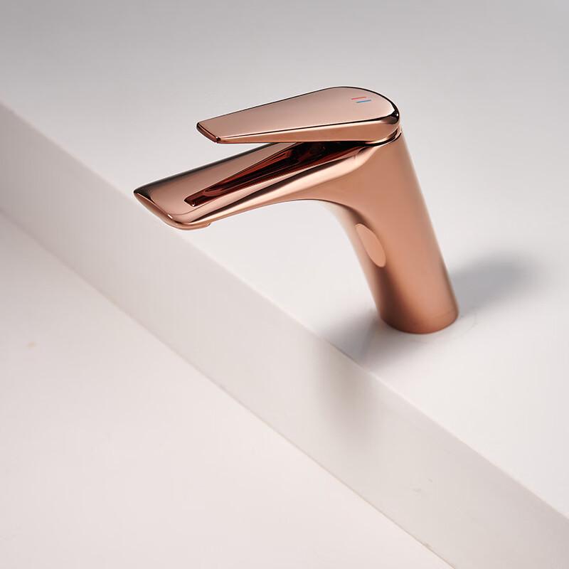 TLXT Hot & Cold Basin Faucet