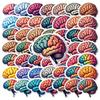 50pcs Decals Multicolor Brain Stickers Educational Stickers Science Stickers for School Projects Teacher Rewards DIY Notebooks