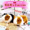 MIMIA Guinea Pig Body Small Pet Pig Pillow, Gift, Animal, Fluffy, Large, Cute, Realistic, Kids, (Guinea (Calico))