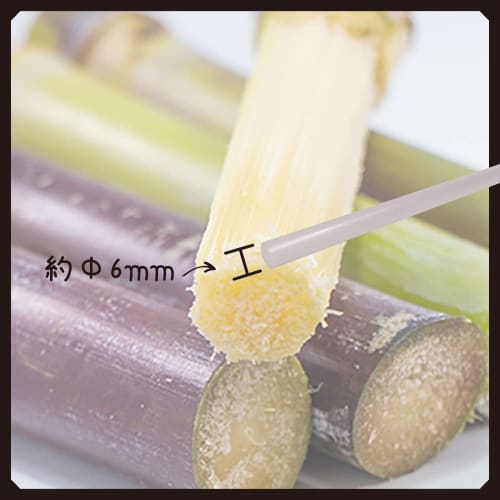 Edogawa Bussan Biomass Straws, 6mm Diameter x 21cm Length, Pack of 500, GPE621SN6