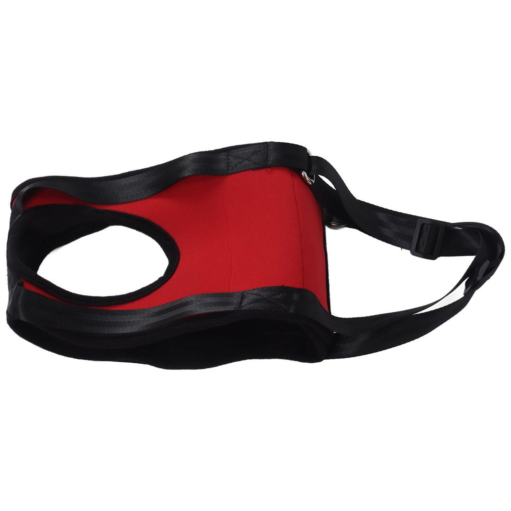 Dog Front Leg Harness Adjustable Waterproof Comfortable Elastic Dog Support Harness for Pets Dogs M