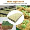 100/50x Planting and Seedling Cultivation of Rock Wool Without Soil Stonewool Hydroponic Grow Media Cubes Garden Seedling Block