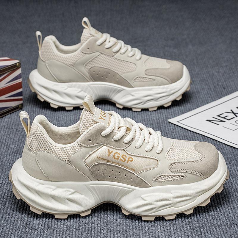 Mode 2025 Lente Nieuwe Heren Modetrend Casual Schoenen Mesh Ademend Comfortabel Veelzijdige Schoenen Dikke Zool Antislip Chunky sneakers