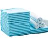 Pet Pee Pad Dogs & Cats - Thickened, Deodorant, Absorbent, Waterproof Disposable Urine Pads (100 Pack)