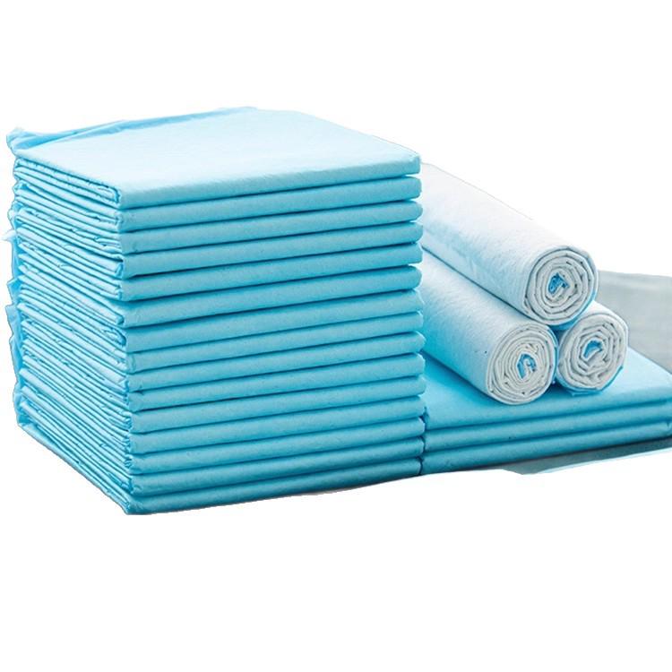 Pet Pee Pad Dogs & Cats - Thickened, Deodorant, Absorbent, Waterproof Disposable Urine Pads (100 Pack)