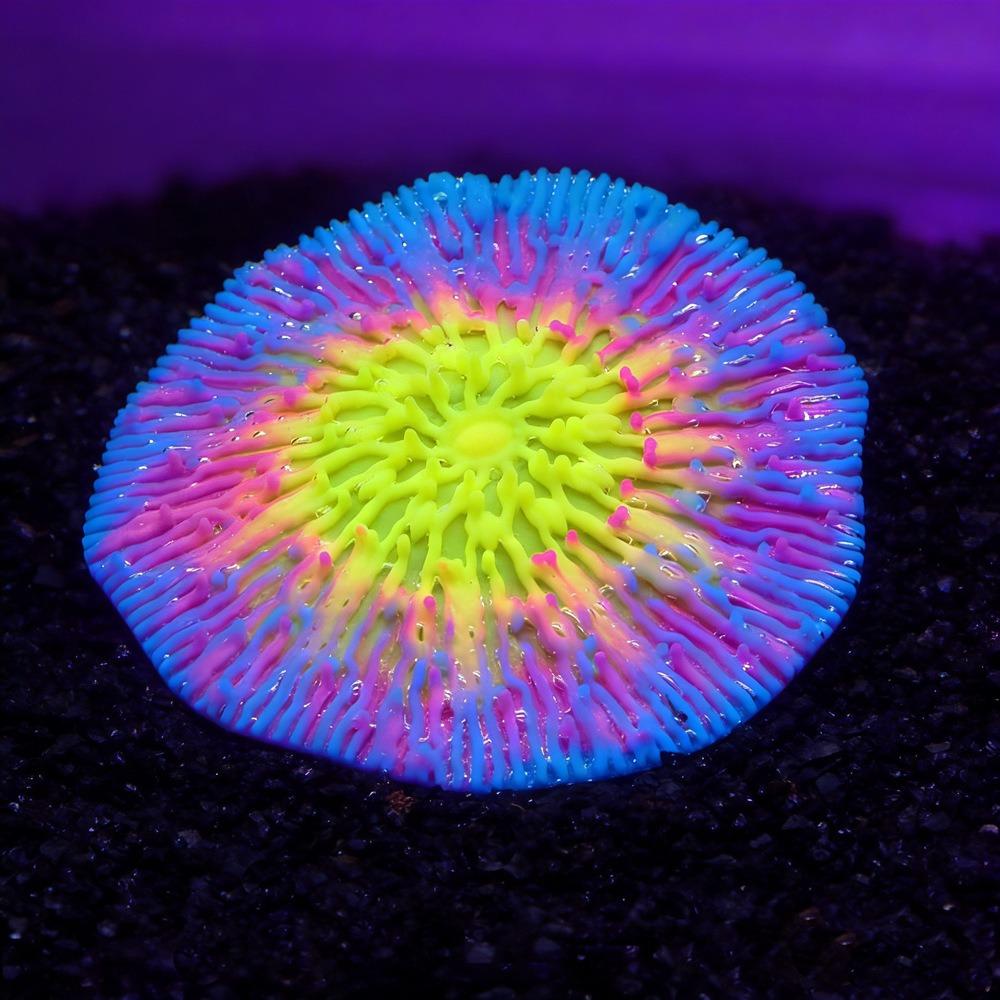 

Decorative Realistic Silicone Coral Plant Fluorescence Non-Toxic Simulation Coral Colorful Coral Ornament Pet Accessories синій