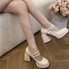 Women Chunky Heels Mary Jane Shoes Princess Spring New Platform Comfortable Black Soft Anti-slippery Dress Leather Shoes