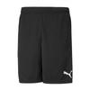 Puma TeamriSe Training ShortS  65733603  Men S ShortS