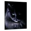 TABLA DE CORTAR DE CRISTAL 40x52 Gato