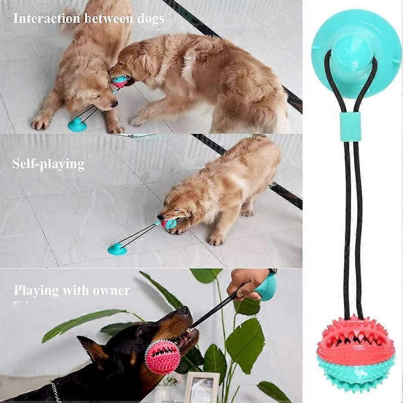 Dog Toy Ball Chew Toys with Suction Cup, Multifunctional Dog Play with Elastic Rope, Dog Chew Ball Teeth Chew Balls for Wood Floor Tile Walls