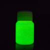 20g Glow In the Dark Fluorescent Colorful Acrylic Luminous Paint Bright Pigment DIY Crafts Painting Tool