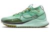 React Pegasus Trail 4 Gore Tex Jarní zelená Olivová Flak Máta Pěna Černá DJ7926-301