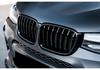 Modified Double Line Grille for BMW X3/X4 (F25/F26 2014-2017)