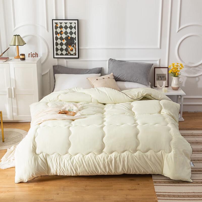 Caiyang Velvet Silk Floss Duvet