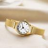 Medieval Small Plate Stainless Steel Mesh Belt Women'S Creative Rhinestone Roman Scale Retro Quartz Watch