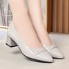 Spring and Autumn Soft-Soled Comfortable Solid Color Versatile Mid-Heel Women's Leather Shoes Chunky Heel Work Shoes Professional Single Shoes