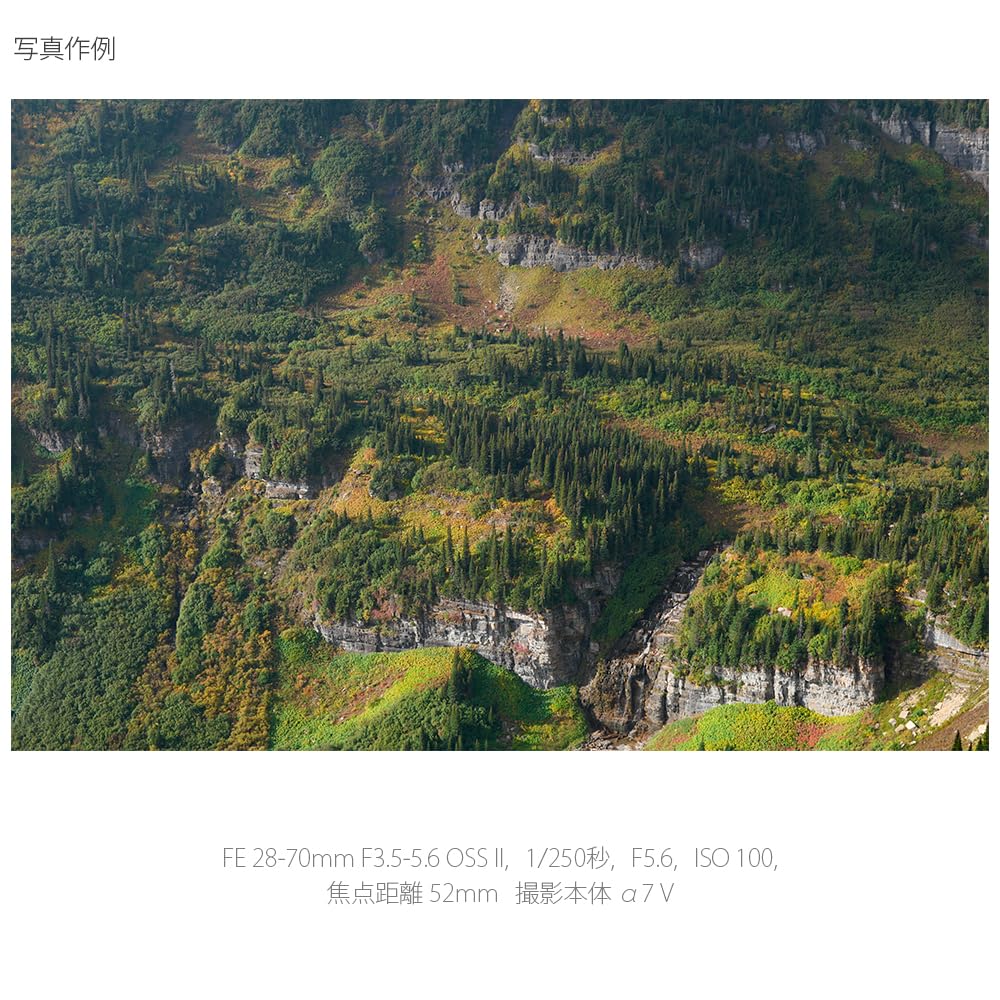 Sony FE OSS II Standard Zoom Lens for Digital SLR Cameras SEL28702 28-70mm F3.5-5.6 Full-Frame [E-Mount] (Genuine Lens)