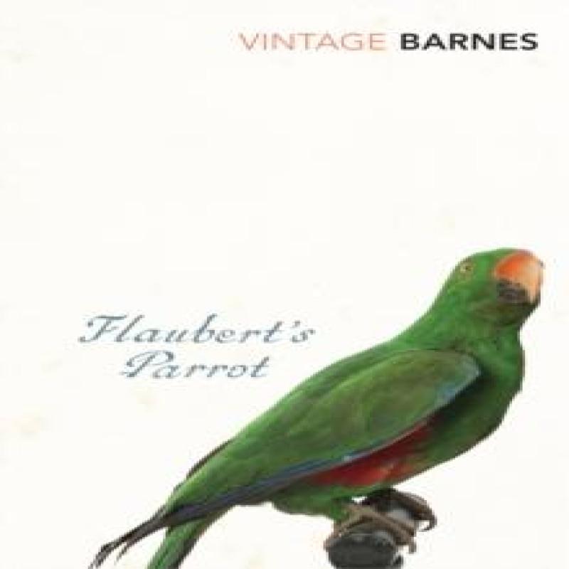 Flauberts Parrot by Julian Barnes Paperback Book 9780099540588