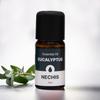 NECHIS Aroma Oil Essential Oil Eucalyptus 12ml