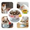 Stainless Steel Pet Bowl Dopamine Non-slip Cat Bowl Detachable High Feet Pet Feeding Bowl