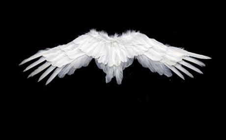 

Angel Wings White Feather Swallow Shaped Wings Adult and Children s Performance Halloween Props Bride Flower Child Dressing 73x19cm белый