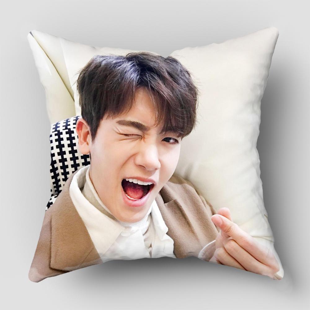 Park Hyung Sik Pillow Cover For A Bright And Fresh Look, Perfect For Kitchens And Dining Areas3.3
