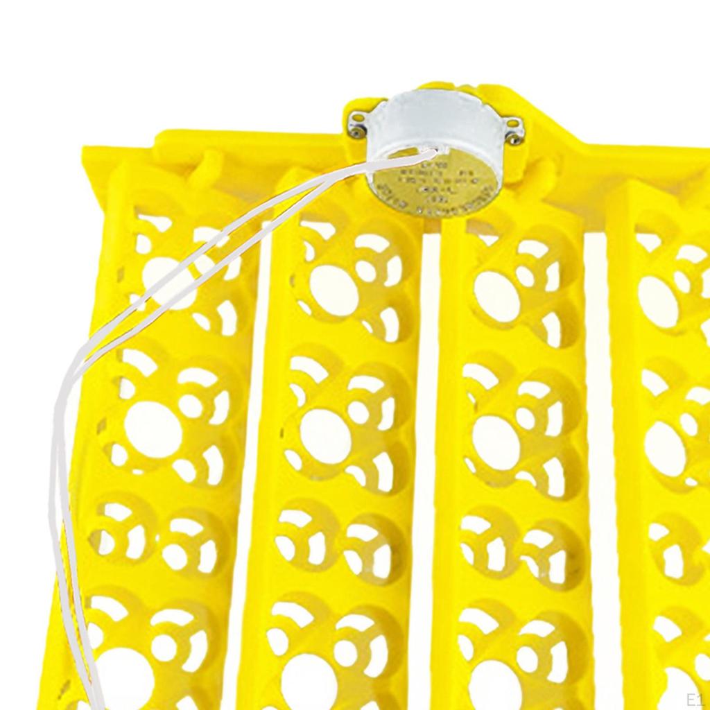 Advanced Egg Incubator Tray with Automatic Rotation Feature