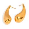 Shiny Geometric Titanium Steel Comma Earrings - European & American Fashion, Light Luxury INS Style for Women