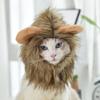 Pet Hat Cat Headgear Lion Rabbit Ear Dog Hat Costume Pet Accessories Small Dog Pet Supplies Wholesale