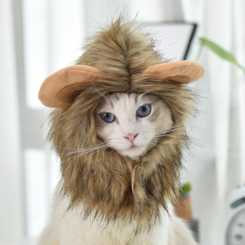 Pet Hat Cat Headgear Lion Rabbit Ear Dog Hat Costume Pet Accessories Small Dog Pet Supplies Wholesale