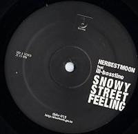 

12inch Record HERBEST MOON - Snowy Street Feeling TBHR015 Tha Blue Herb R 2003 Japan Dance & Electronica Used