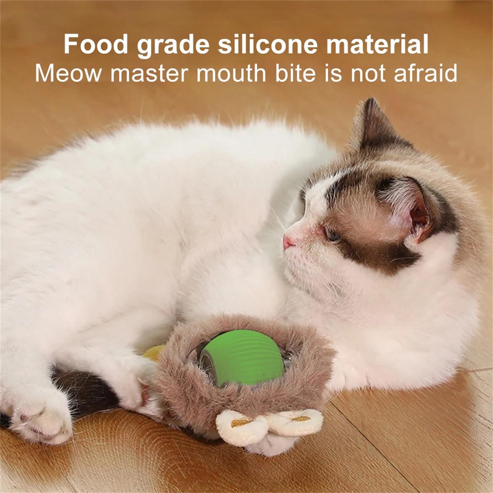 

The Toy Plush Intelligent Ball Electric Teases The Ball The Grinds The Tooth To Bear Tofrom High To The Boredom Ball One Size зелёный