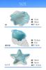 AllBright Seashell Trinket Box, Seashell Ornament, Tray, Interior Storage, Conch Shell, Ceramic, Accessories, Keys, Aquarium, Blue (Shell)