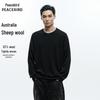 Peacebird Men's Crew Neck Pullover Sweater