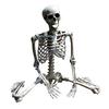 Halloween -Requisiten Skeletthnge -Requisite Haunted Decoration House R9E3