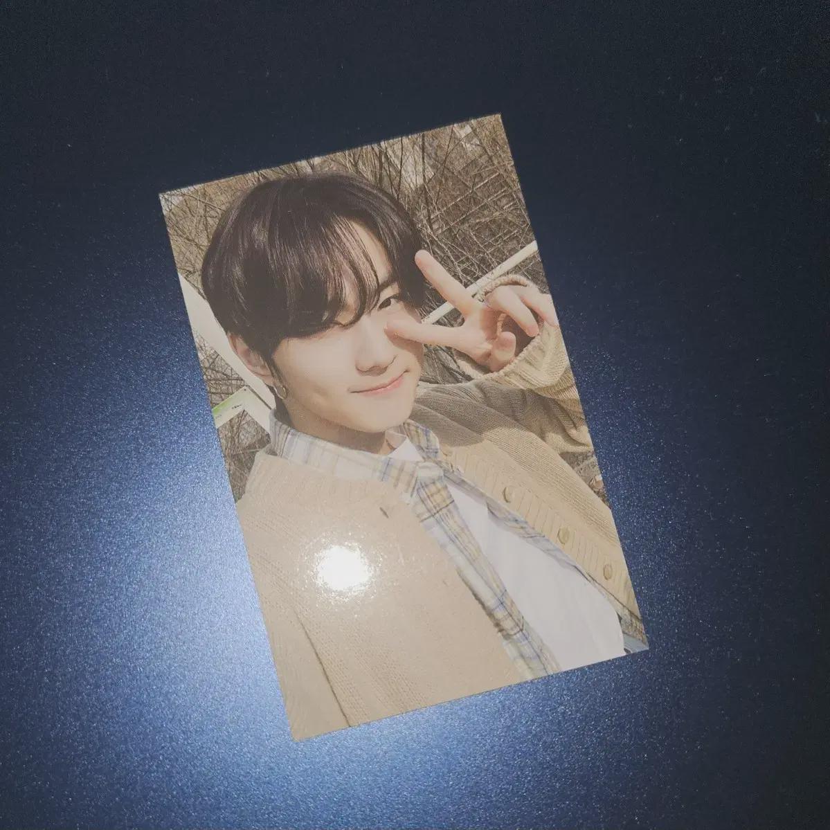 

Бонусная футболка Enhyphen Garden Fate America Tour Poka