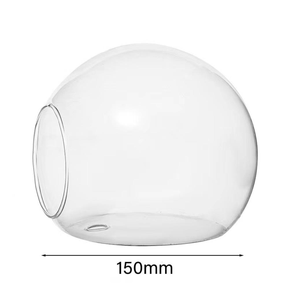 Terrarium Container Blume Flasche Sukkulente Hydrokultur Pflanze Vase