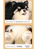Creative Cute Black Pomeranian & Chihuahua Plush Toy Animal Ornament