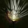 Solar Wrought Iron LED Flame Moon Landscape Lights for Outdoor Courtyards and Villas