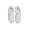 Nike Sb Zoom Nyjah 3 Skylight University Red DV7896-400