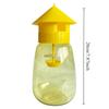 Fruit Fly Trap Sticky Disposable Orchard Vegetable Catcher Non Toxic Pest Control Supplies For Kitchen Indoor Outdoor Garden