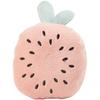 Pet Cat Supplies: Paper Cat Grass, Catnip, Interactive, Cute Fruits, Plush Cat Toys