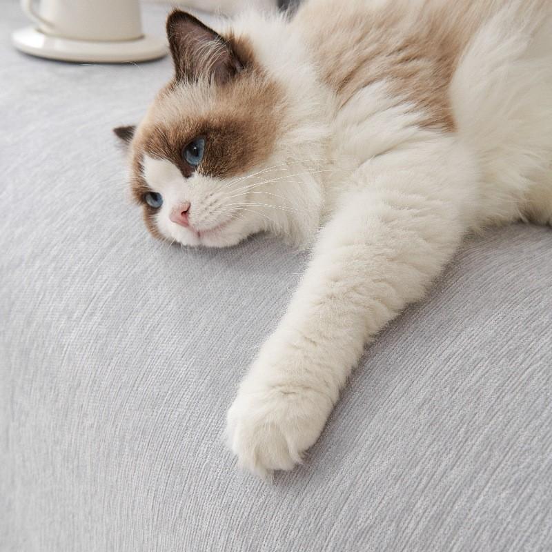 Solid Color Chenille Sofa Mat Four Season Universal All Inclusive Furniture Protector Anti-cat Scratch Chair Blanket Home Decor
