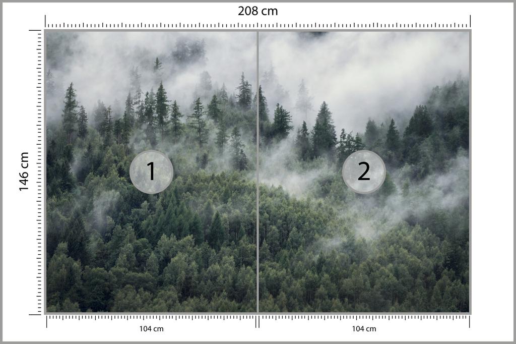 Photomural Forest In The Morning Mist Washable Fleece 208x146