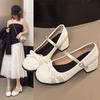 Simple and Gentle Retro Thick Heel Mary Jane Shoes Women's Autumn and Winter 2025 New Shallow Mouth Versatile Single Shoes