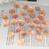 2cm Mini Wild Sunflower Daisy Mori-Style DIY Wreath Accessories