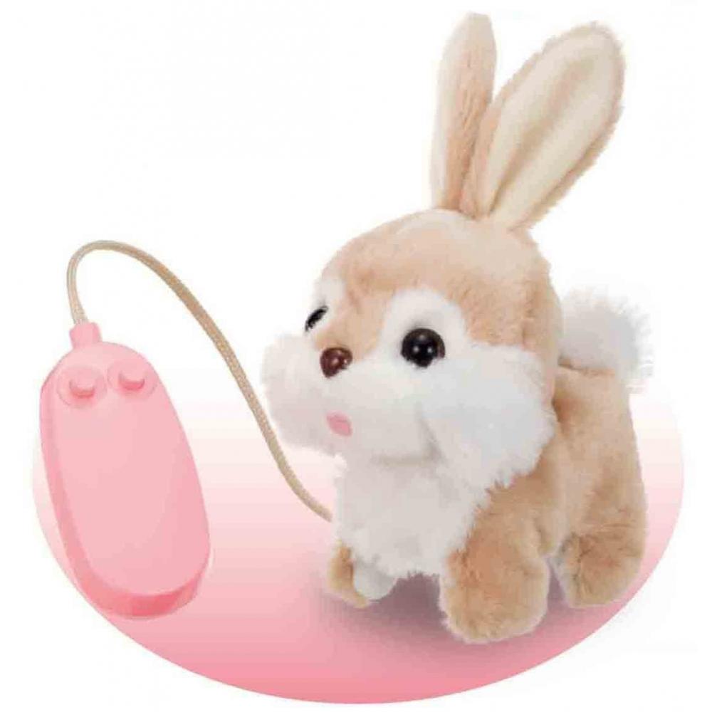 Iwaya Null Rimocon De Osanpo Pyon Pyon Roppy