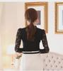 Women's Lace Chiffon Shirt - Long Sleeve, Stand-Up Collar, Slim Fit, Autumn/Winter Fashion, Plus Size