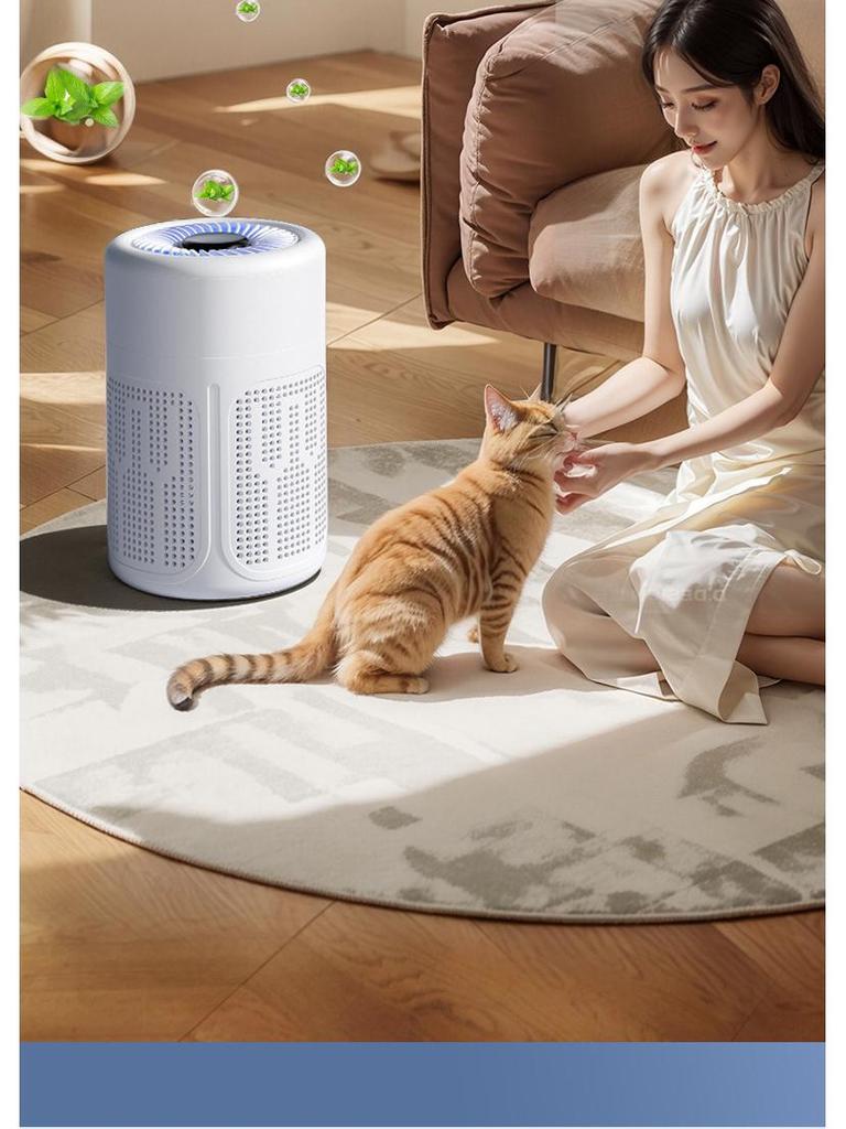 USB Air Purifier with Negative Ion Technology for Home - Formaldehyde Removal and Odor Filtration